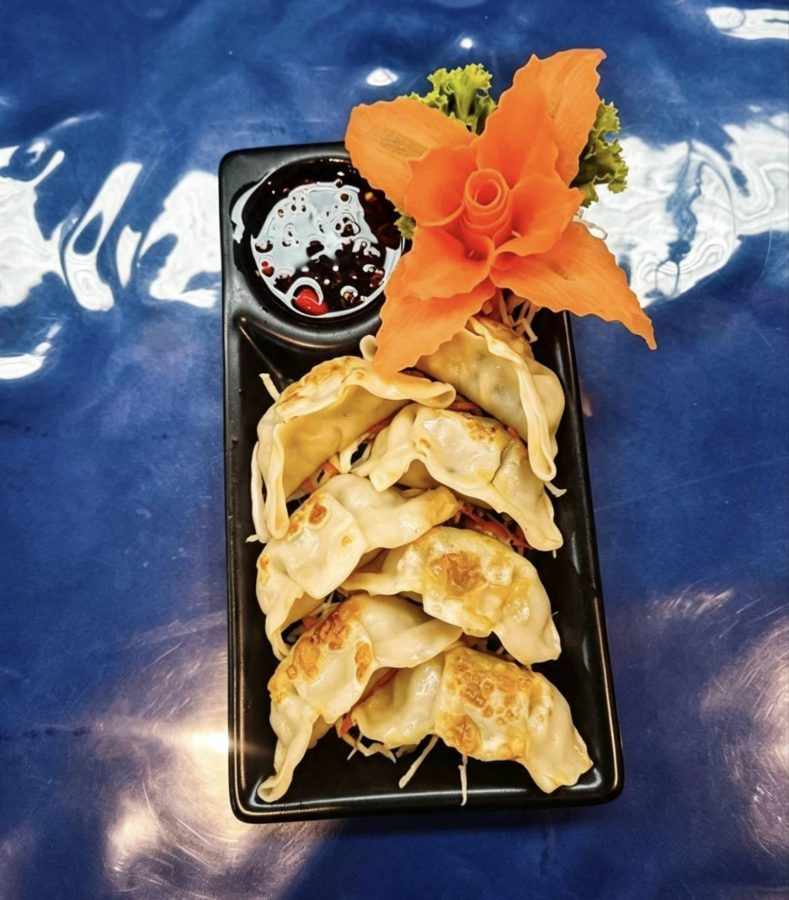 Gyoza