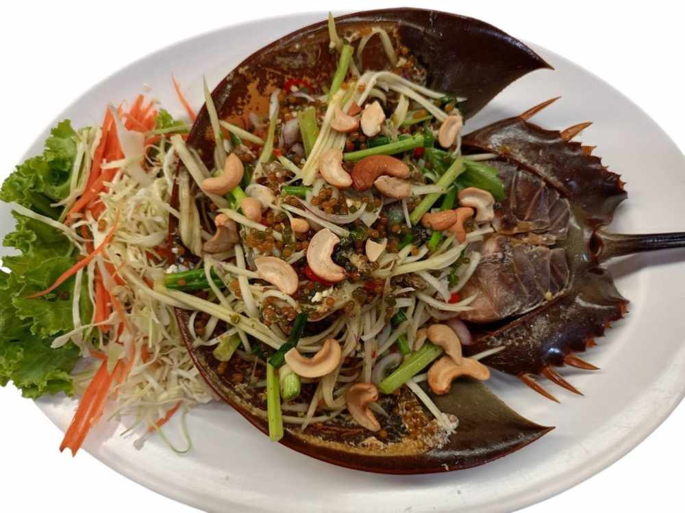 Horseshoe Crab Egg Salad